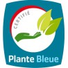 Plante Bleue